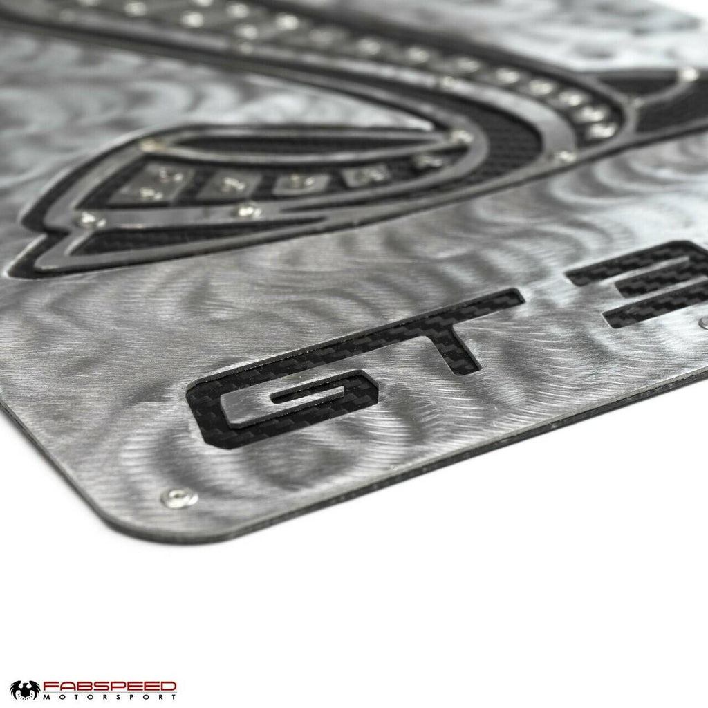 Fabspeed Carbon Fiber Wall Art - Shelby GT350