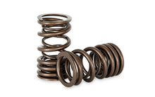Load image into Gallery viewer, Kelford Nissan A Series Dual Valve Spring Set KVS14D